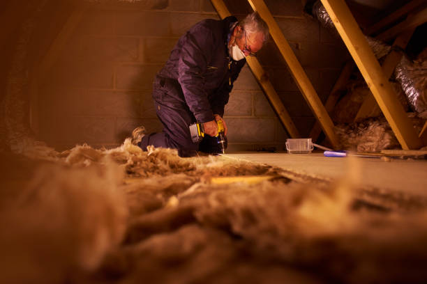 Best Spray Foam Insulation  in Mono Vista, CA